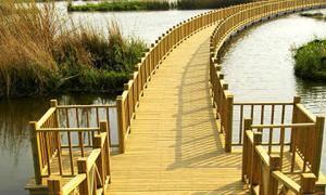 昆明五甲塘湿地公园景观浮桥